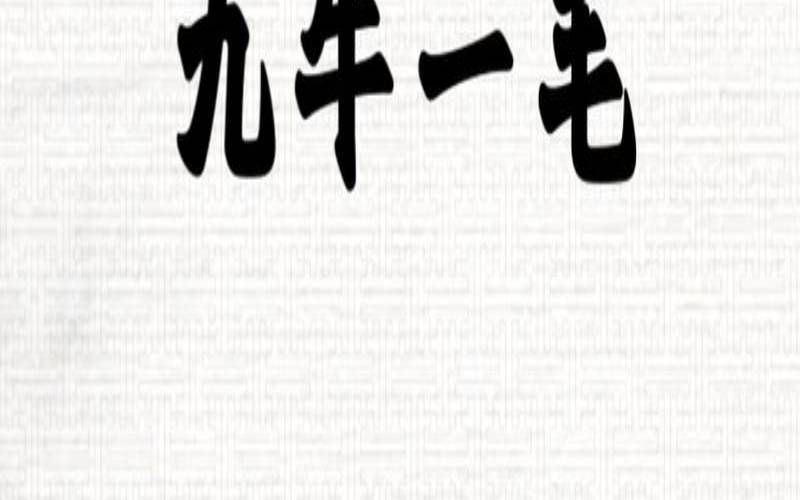开头必有九指什么生肖（九牛一毛打一准确生肖）