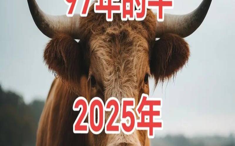 2021年属牛女性的运势（97年属牛2020年运势）