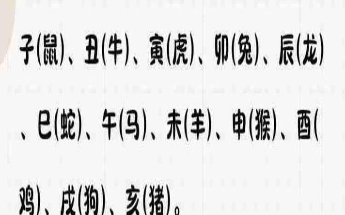 0823是什么生肖（四二生肖打一动物）