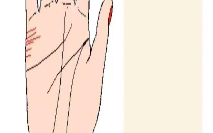 姻缘线断开什么意思（婚姻线断开又另起一条）