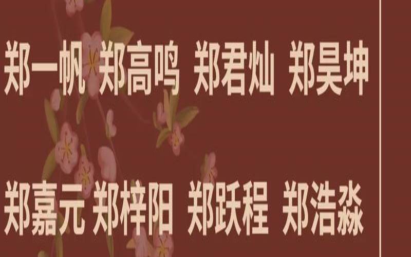 郑姓男孩起名有寓意（姓郑的男孩名字牛宝宝）