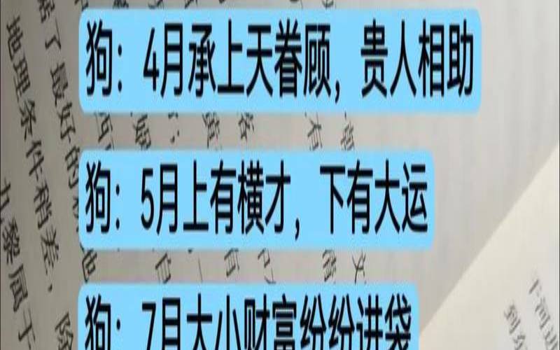 八二年的狗今年的财运（70年属狗的运程）