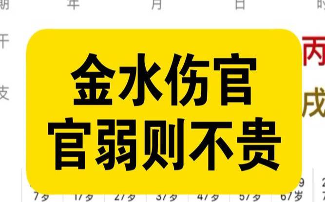 金水伤官格为什么命运不定（金水伤官格局）