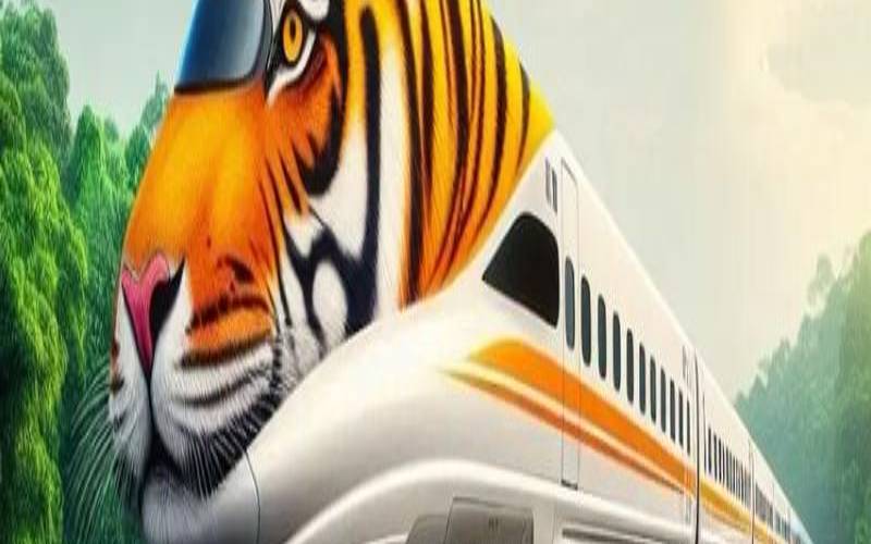 坐高铁代表什么生肖（生肖表十二顺序图）