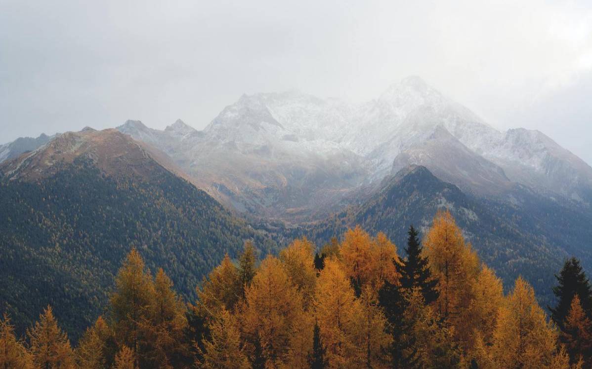 壤字是指什么生肖（山有朽壤打一生肖）
