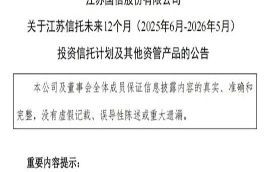 2020信托公司（205亿壕买信托）