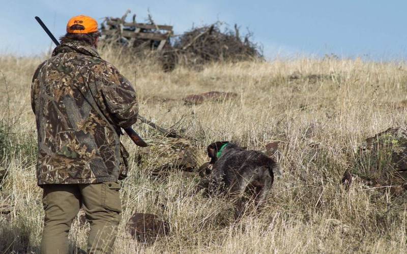 打猎一般在什么季节（打猎会弄巧指什么生肖）