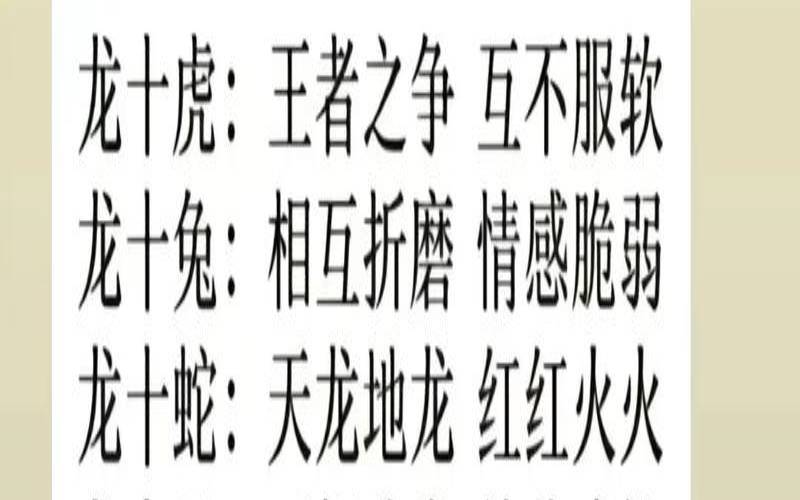 龙跟猪属相婚配如何（龙和猪结婚好吗）