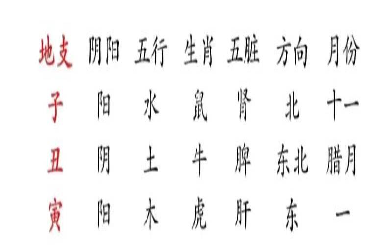 八字和四柱的区别在哪里（查八字命格免费）