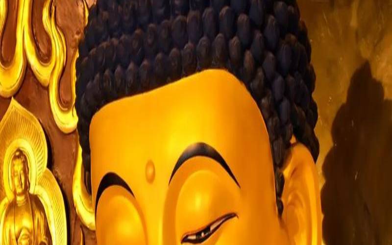 2021年属虎男的运势和财运（74年属虎男今日财运）