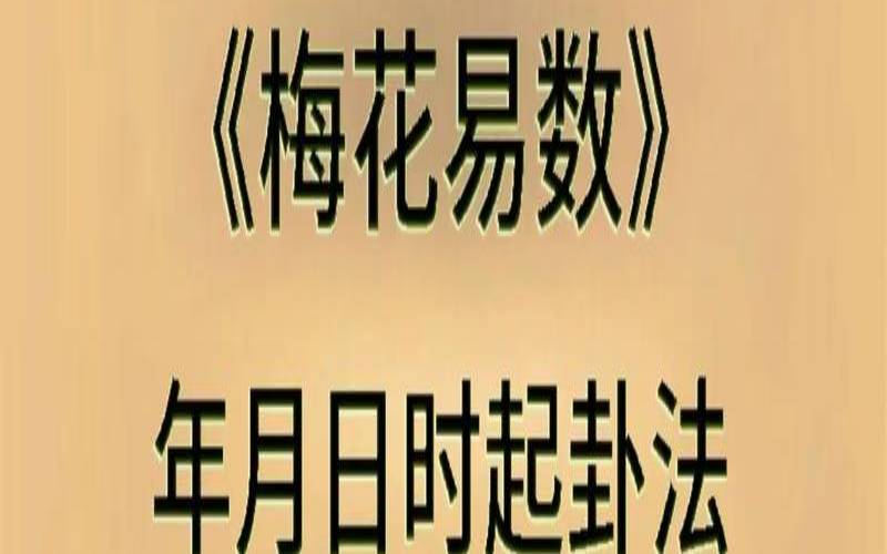 学梅花易数先学什么（梅花易数好学吗）