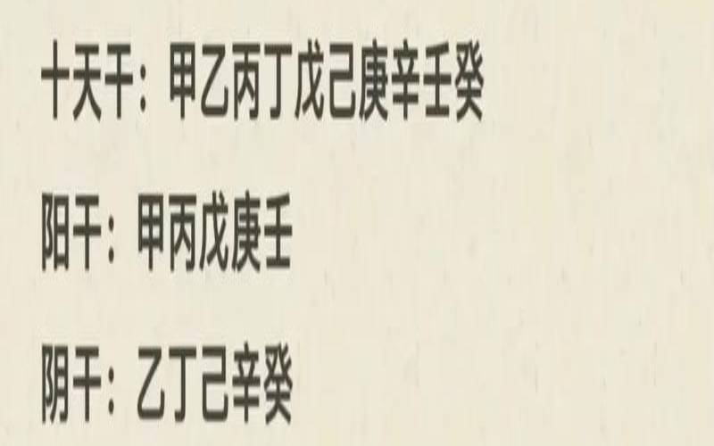 易经入门基础知识清单（易经入门必看）