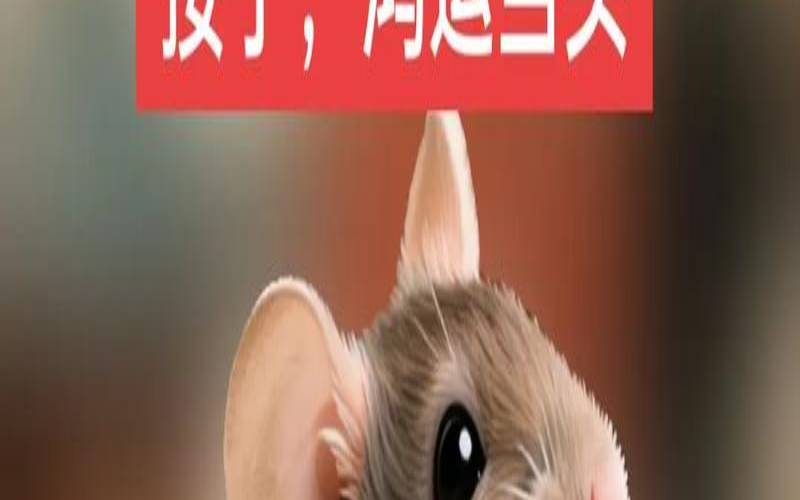 96年属鼠人2021桃花运（1996属鼠的桃花劫是哪一年）