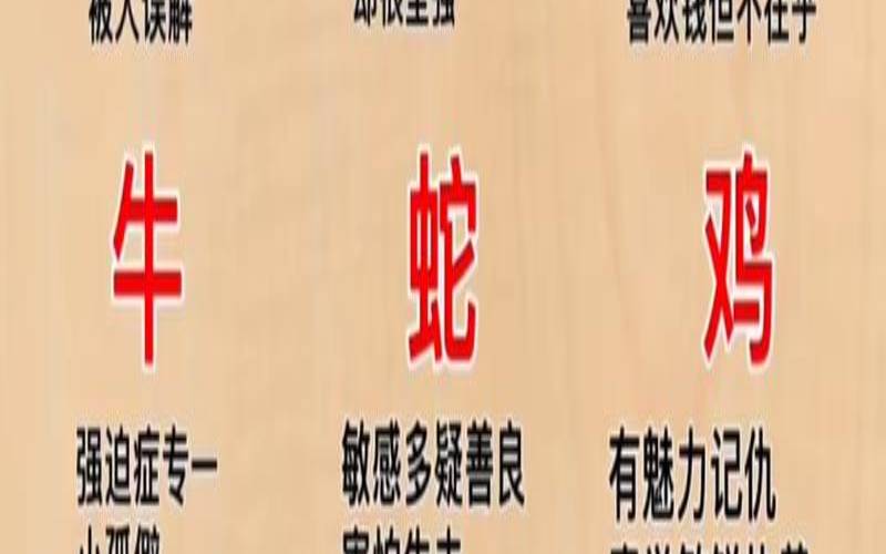 十二生肖男生的性格（十二生肖每月运势详解）