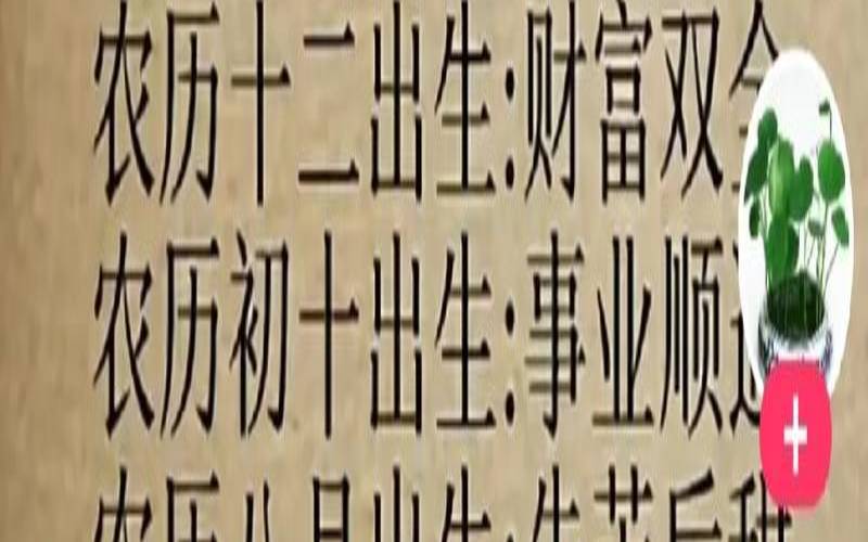 2021年农历十月初三出生（农历十月十八出生的人）