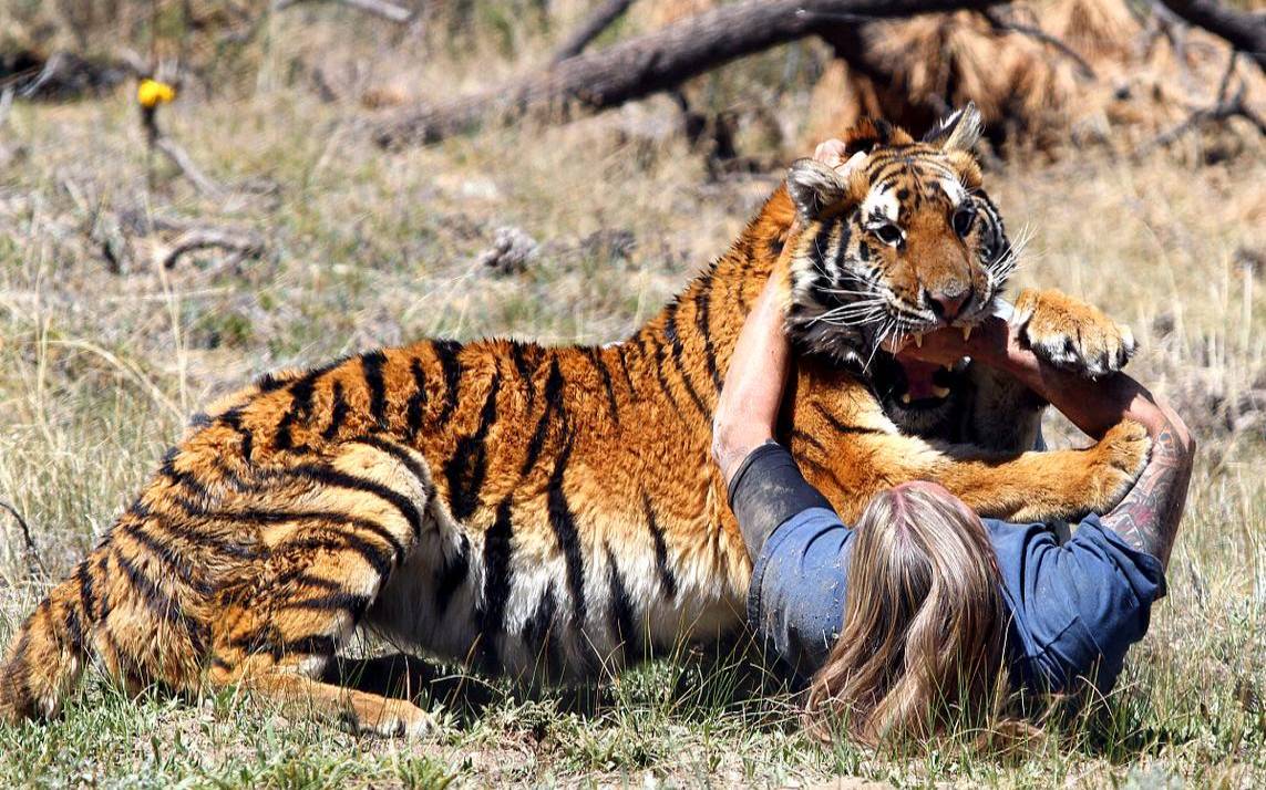 梦见打老虎是什么征兆（梦见打老虎是什么意思）