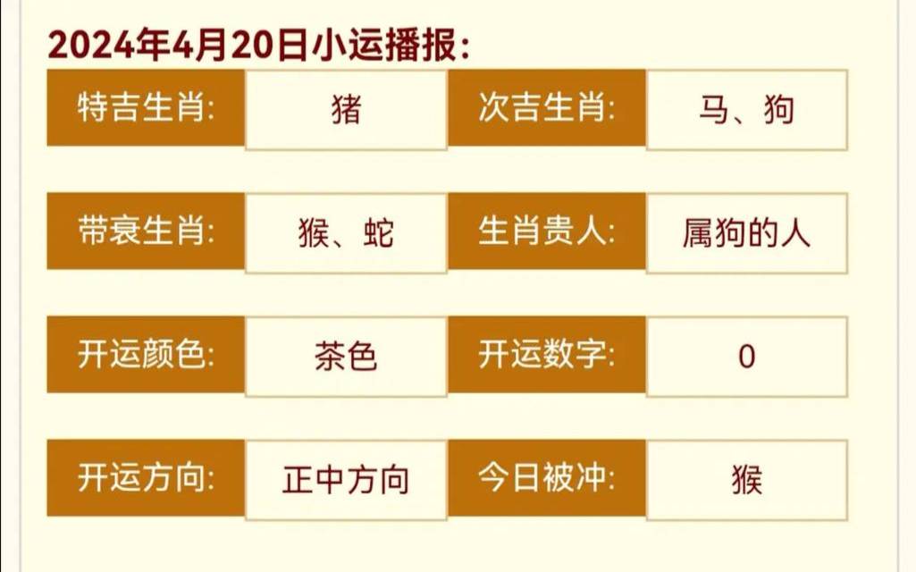 属猪运势2024年运势详解（82属狗未来5年运势）