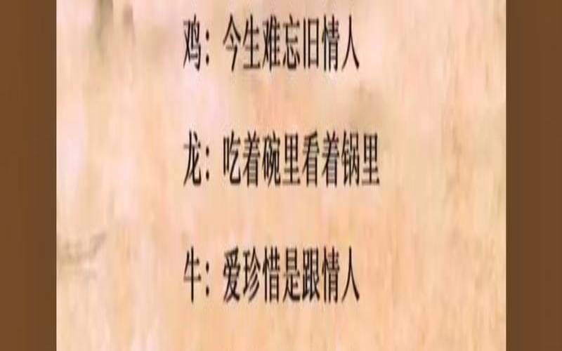 2138爱情含义是什么意思（12生肖哪个感情最专一）