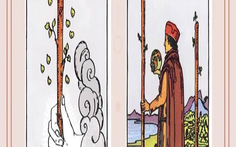 塔罗他忙啥呢（塔罗测试他现在在干嘛呢）