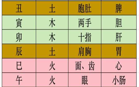 如何从八字看身体健康（八字看身体部位和疾病）