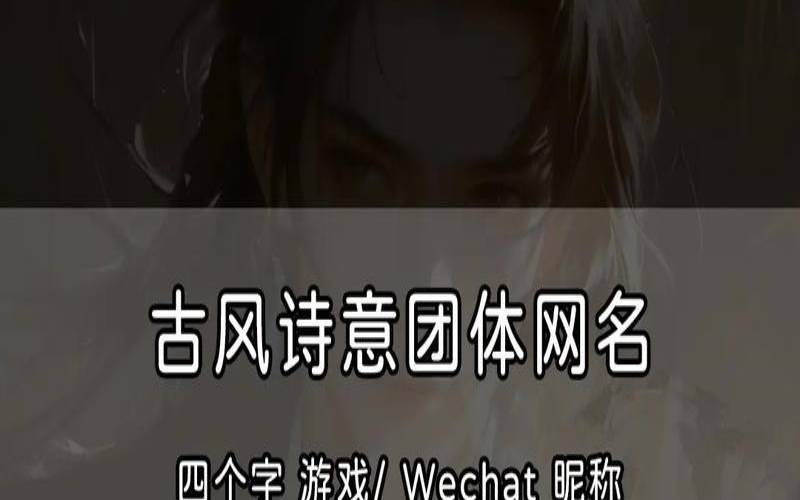 古风有诗意的组名（文雅古风的小组名）