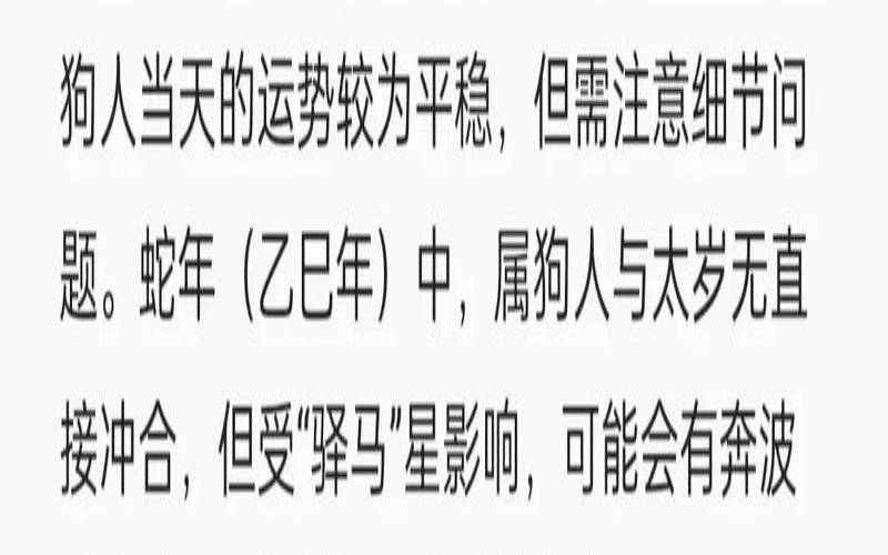 属狗2019年运势及运程详解（2019年属什么生肖属相）