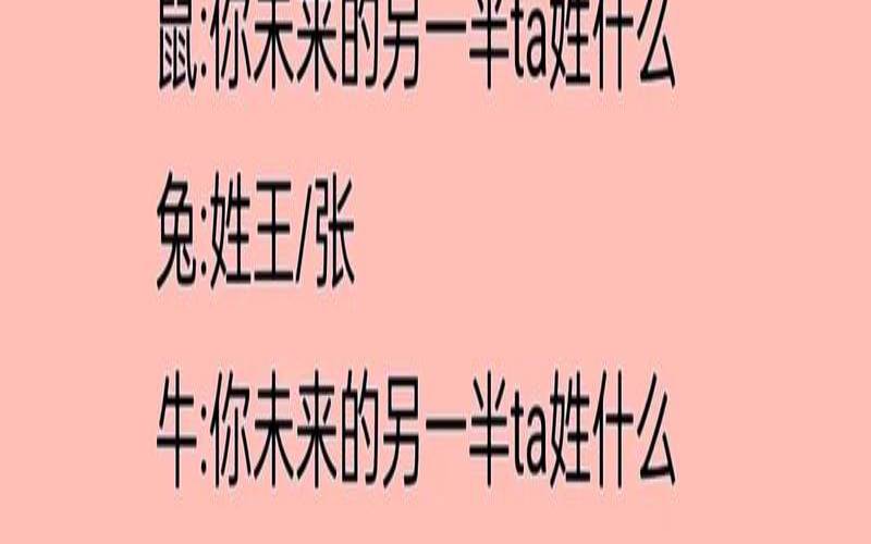 八字测另一半姓名神巴巴（免费测未来另一半名字）