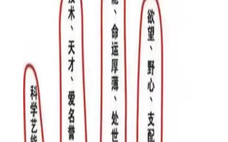教你如何看手相图解（手相怎么看的）