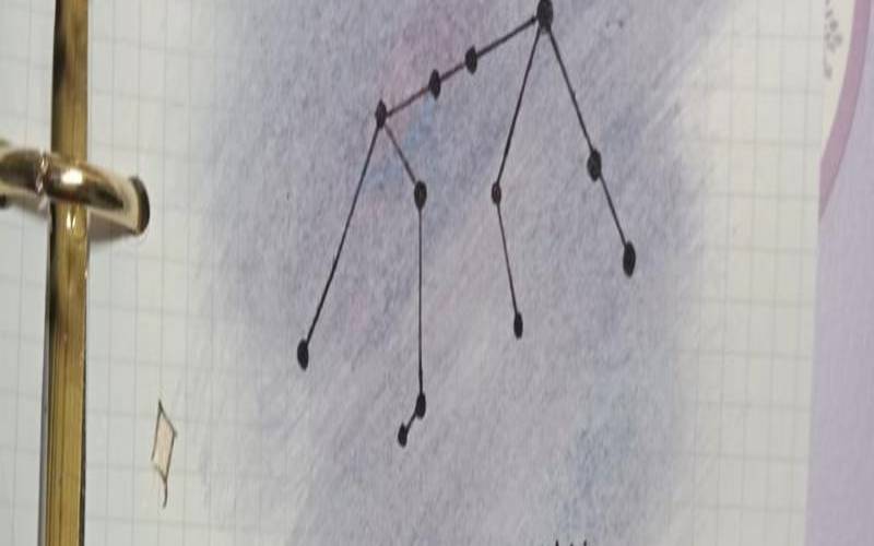 星座手帐怎么画水瓶座（十二星座手帐水瓶座）