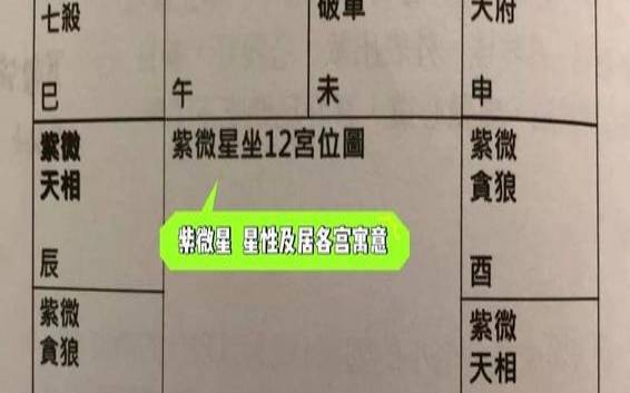 紫微星照命的男人（命带紫微星的人）