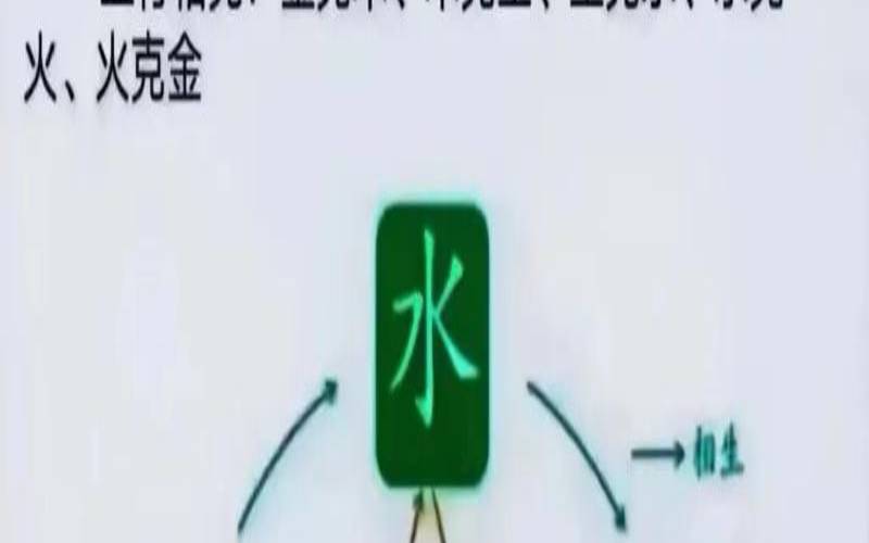 2023年生肖五行属什么命（2023年五行什么最旺）