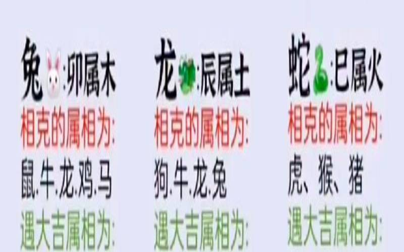 356数字表达的什么意思（816969是什么生肖）