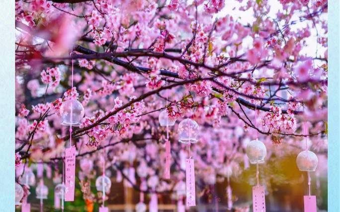 测你最近的桃花运如何（测即将有什么好运降临）