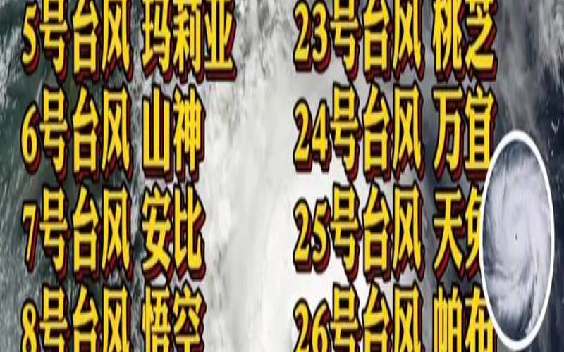 台风天出生的宝宝命理怎样（什么天气出生的命运好）