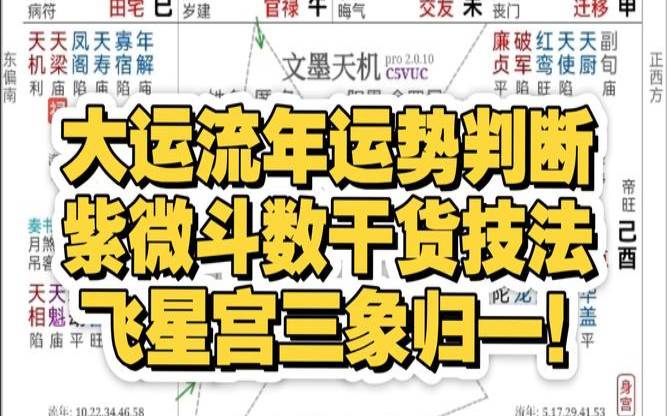 测运势2021年运势免费紫微（紫微斗数app免费下载）