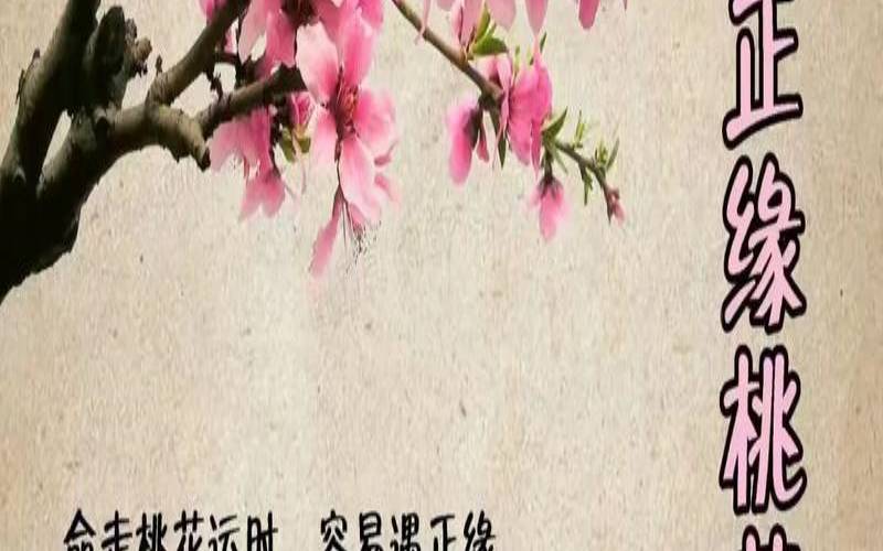 八字免费测桃花运（测试是否是正缘）