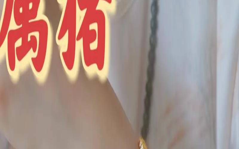 1995在2021年猪女运势（属猪女做什么生意合适）