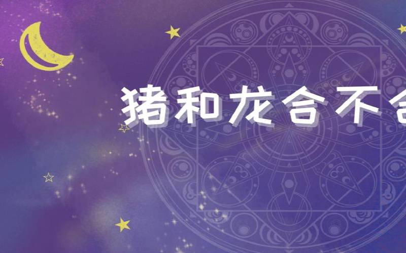 龙和猪结合是什么生物（猪和什么配最佳）