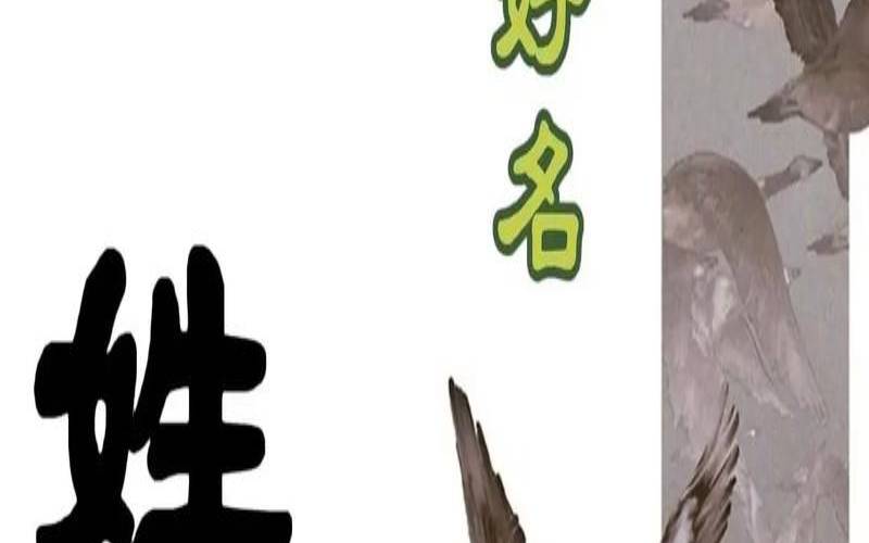 甘姓女孩名字带有诗意的（姓甘的好听的女孩名字）