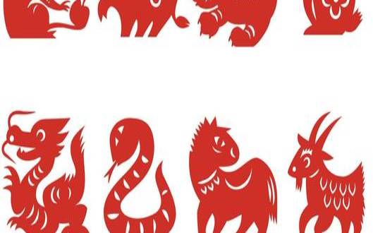 虚有其表是什么生肖（金玉其表是哪个生肖的动物）