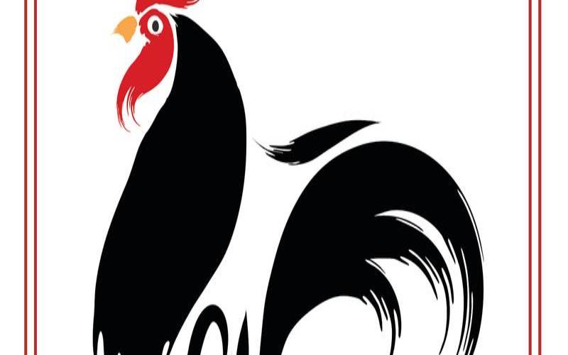 1969年属什么生肖是什么命（69年鸡今年适合投资吗）