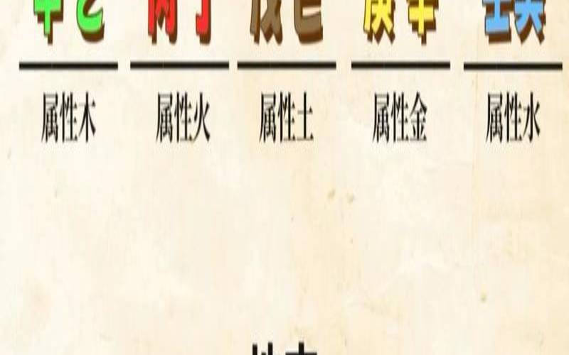 八字主要看天干吗（天干和地支哪个影响大）