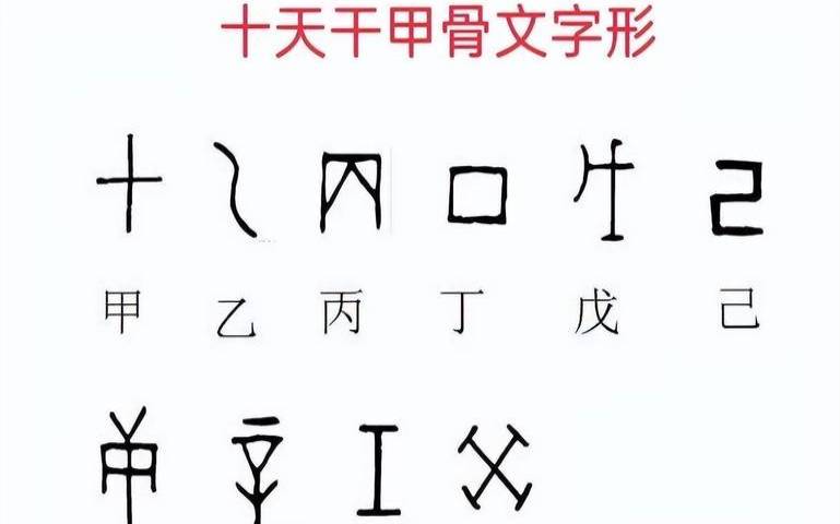 八字甲骨文怎么写的图片（天干地支的甲骨文写法）