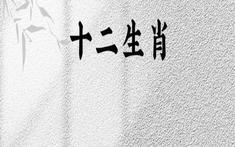 2020.11.25生肖运势（郑博士最新一周生肖运势）