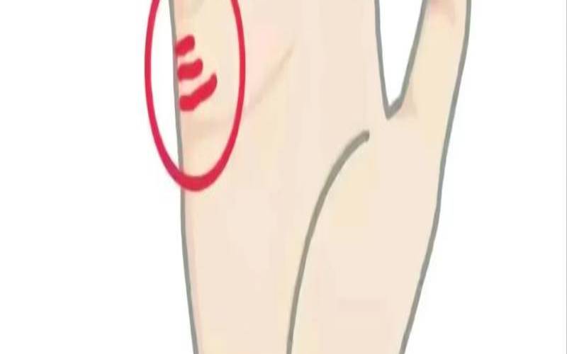 手相没有婚姻线怎么办（手相女图解大全）