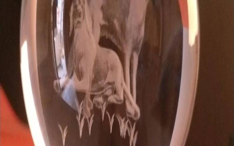 广州哪里有小动物买的（十二生肖摆件价格图片）