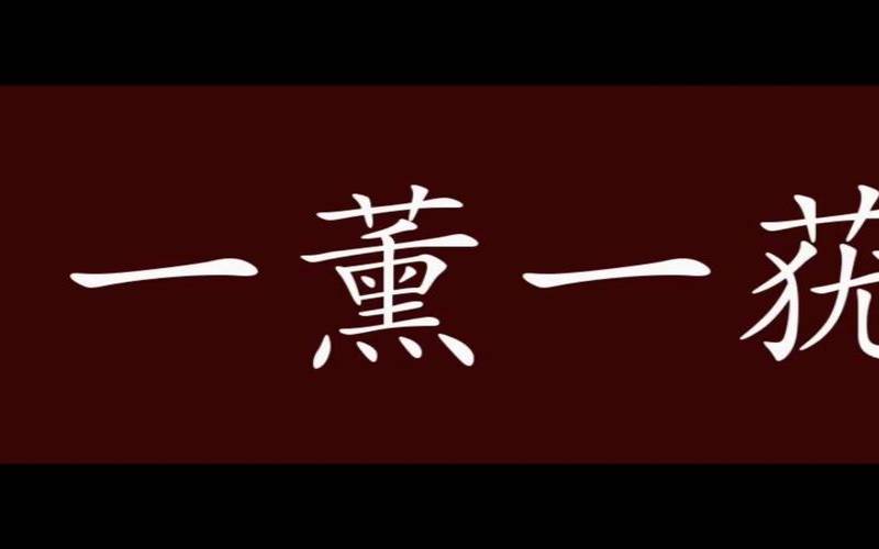 阿一是什么生肖（一薰一莸打一生肖）