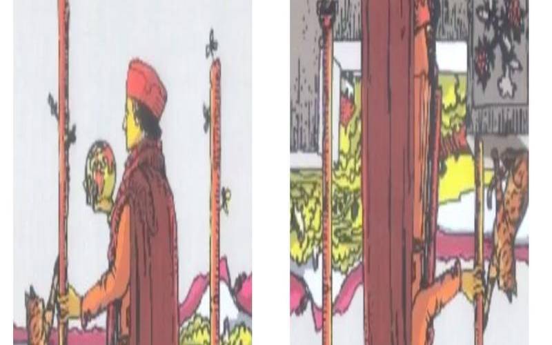 塔罗牌怎么看正位和逆位（塔罗正反以谁的角度看）