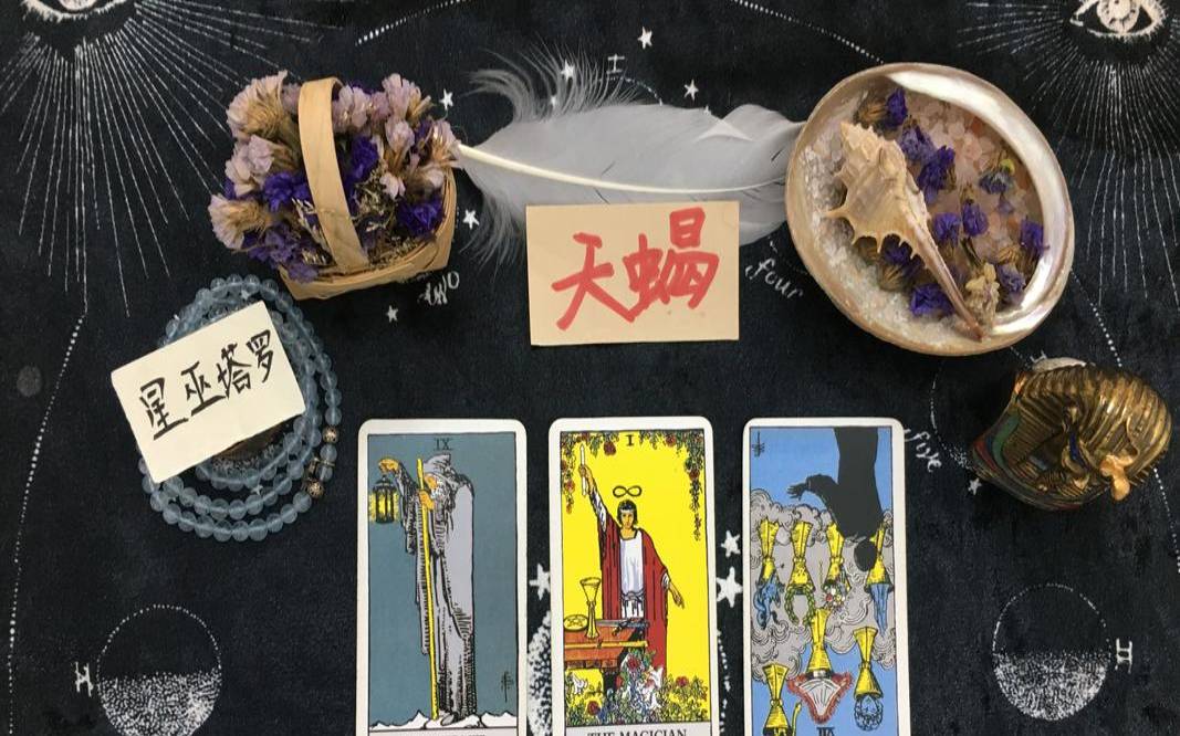 伽巫塔罗2021年星座运势（女巫的执念塔罗）