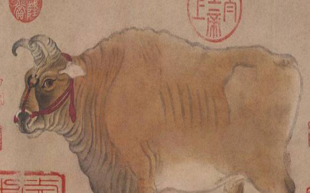 深谷是什么动物（晨参暮省是什么生肖）